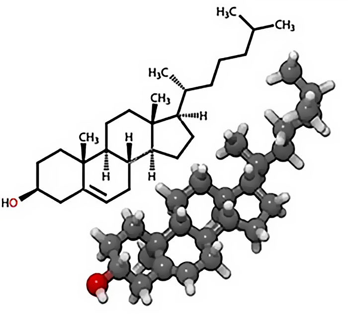 Fórmula molecular e fórmula estrutural da molécula de colesterol.